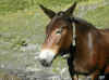 img2892.JPG (44761 octets)
