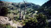 190600_01.jpg (64945 octets)