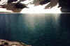 260600_8.jpg (44479 octets)