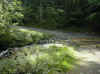 img2403.JPG (74951 octets)