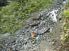 img2411.JPG (98508 octets)