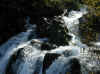 img2424.JPG (65777 octets)