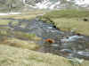 img2448.JPG (77533 octets)