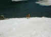 img2458.JPG (32130 octets)