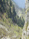 img2463.JPG (121432 octets)