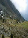 img2473.JPG (93667 octets)