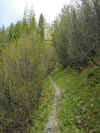 img2486.JPG (129574 octets)