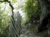 img417.JPG (55188 octets)
