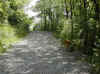 img420.JPG (60308 octets)