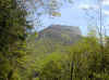 img451.JPG (53499 octets)