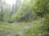 i4694.JPG (54583 octets)