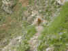 i4703.JPG (53647 octets)