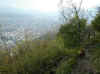 img510.JPG (41120 octets)