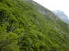 img512.JPG (46048 octets)