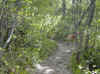 img431.JPG (58426 octets)