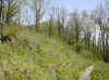 img440.JPG (57685 octets)