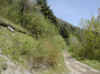 img444.JPG (49049 octets)