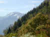 img447.JPG (36950 octets)