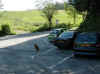 img2505.JPG (56582 octets)