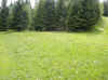 img2583.JPG (75266 octets)