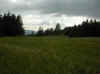 img2587.JPG (36067 octets)