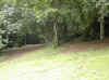 img747.JPG (32756 octets)