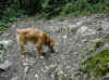 img749.JPG (46781 octets)