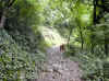img751.JPG (65664 octets)