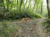 img767.JPG (60469 octets)