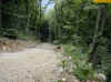 img768.JPG (55402 octets)