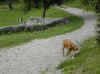 img774.JPG (46734 octets)