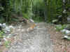 img780.JPG (40461 octets)