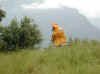 img790.JPG (24328 octets)