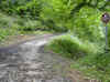 img796.JPG (53216 octets)