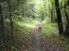 img800.JPG (62199 octets)