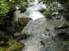 img810.JPG (52768 octets)