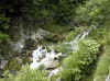 img814.JPG (56880 octets)