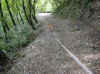 img825.JPG (53865 octets)