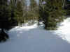 2003.jpg (37632 octets)