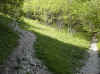 img681.JPG (40180 octets)