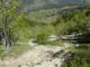 img682.JPG (53655 octets)