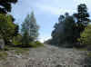 img688.JPG (46571 octets)