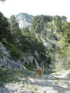img692.JPG (85378 octets)