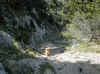 img694.JPG (55198 octets)