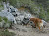 img698.JPG (54470 octets)