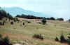 vercors1.JPG (35354 octets)